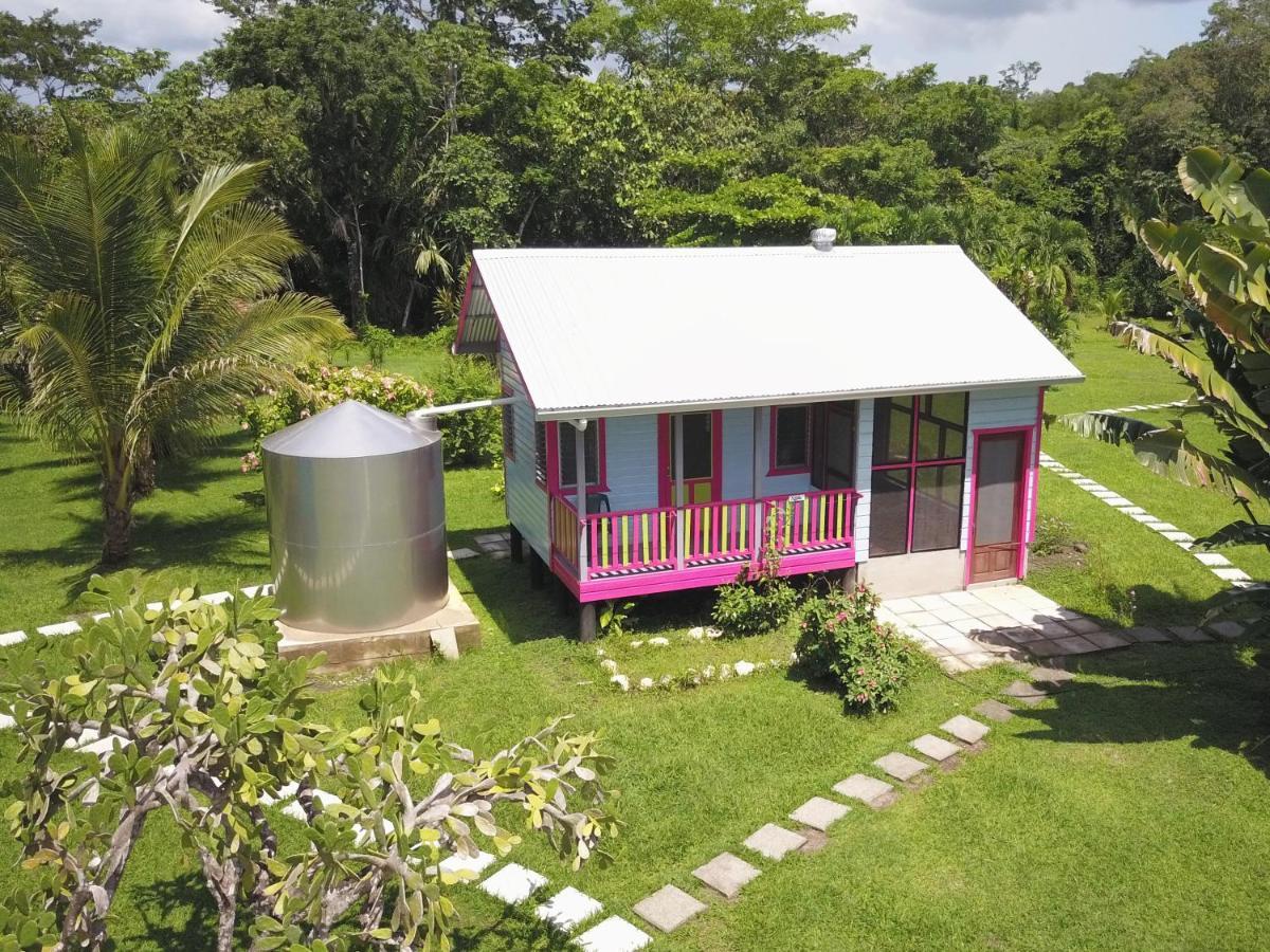 Lower Dover Jungle Lodge & Maya Ruins Unitedville Exterior photo