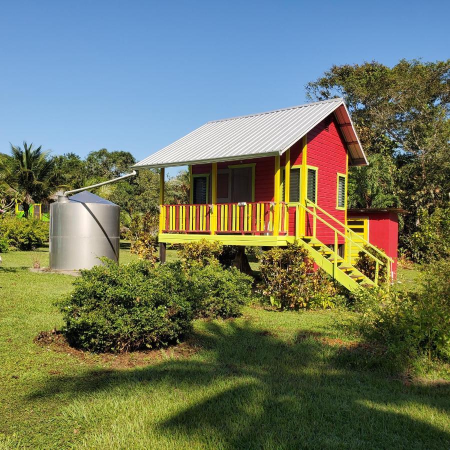 Lower Dover Jungle Lodge & Maya Ruins Unitedville Exterior photo