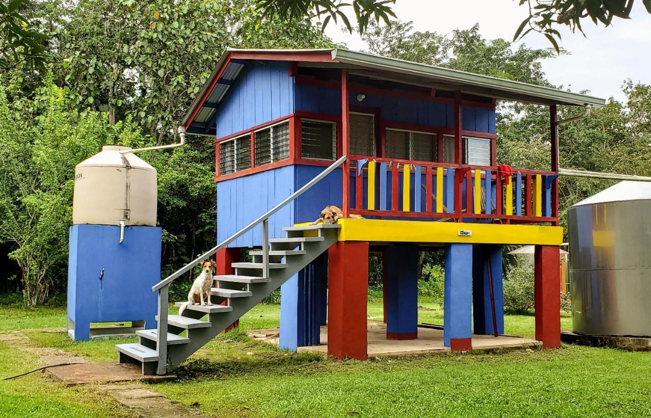 Lower Dover Jungle Lodge & Maya Ruins Unitedville Exterior photo