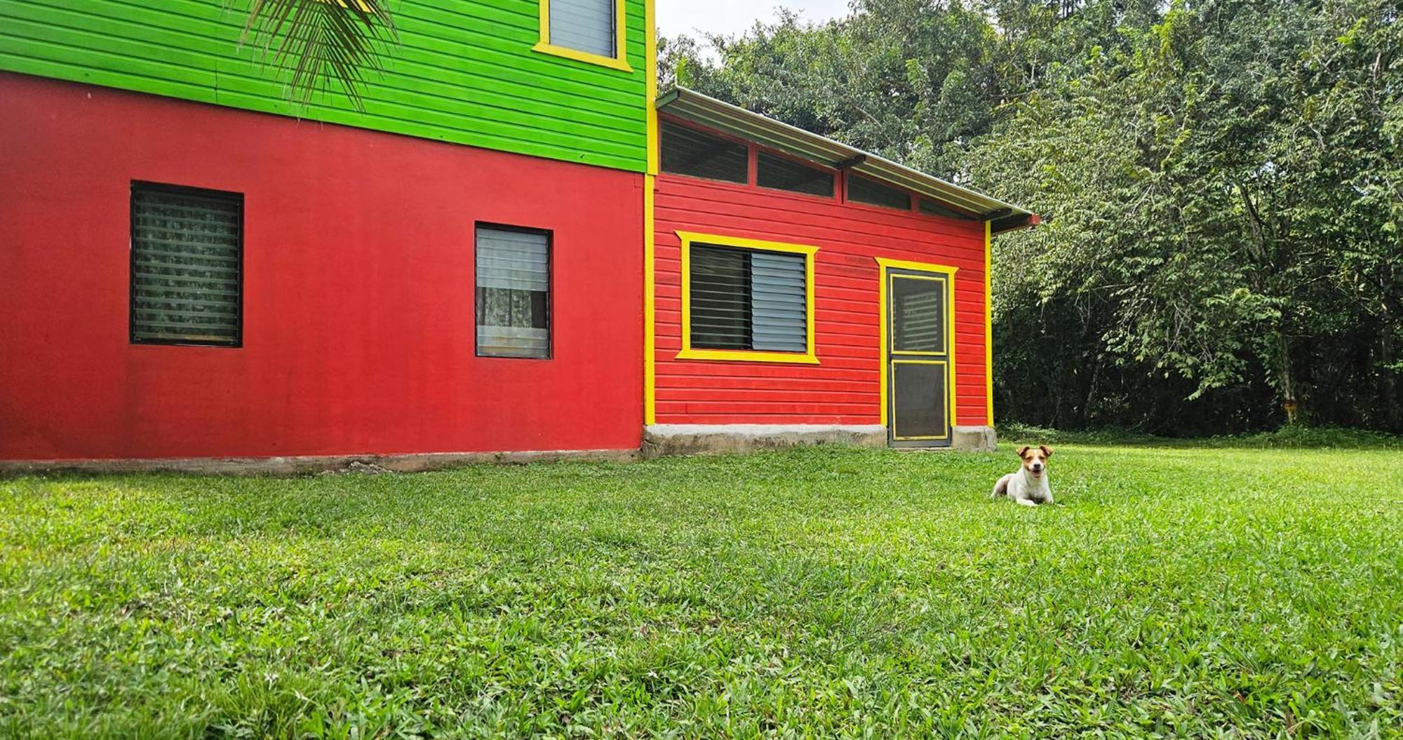 Lower Dover Jungle Lodge & Maya Ruins Unitedville Room photo