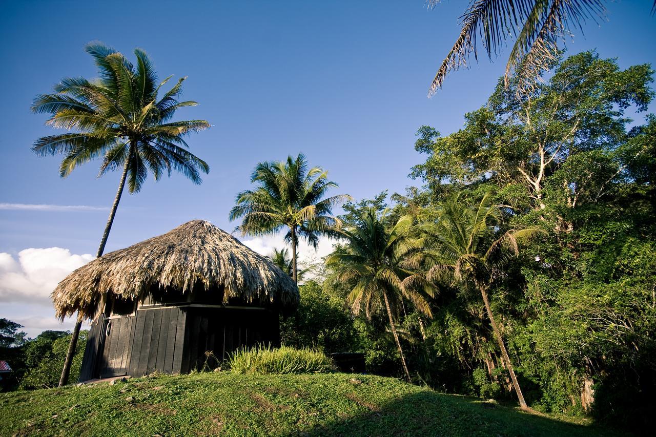 Lower Dover Jungle Lodge & Maya Ruins Unitedville Exterior photo