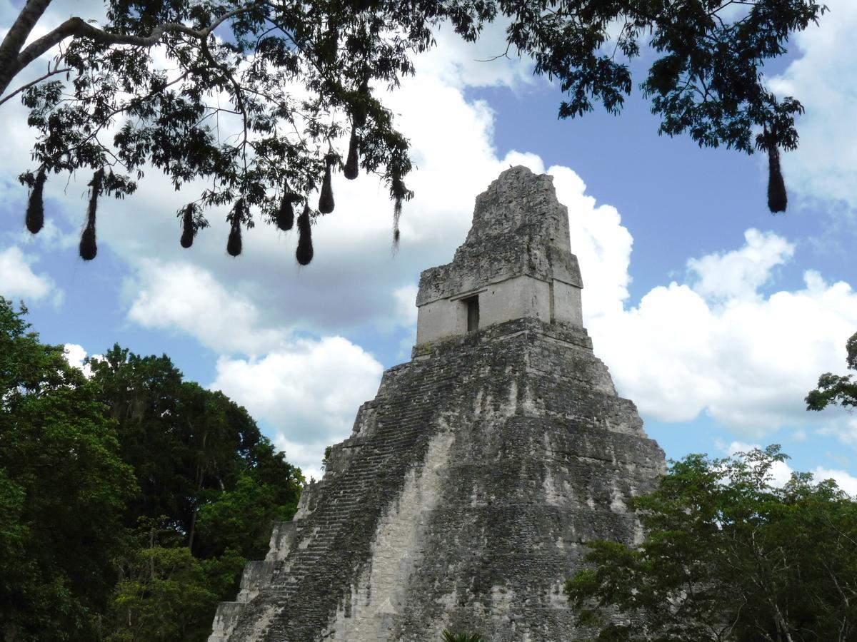 Lower Dover Jungle Lodge & Maya Ruins Unitedville Exterior photo