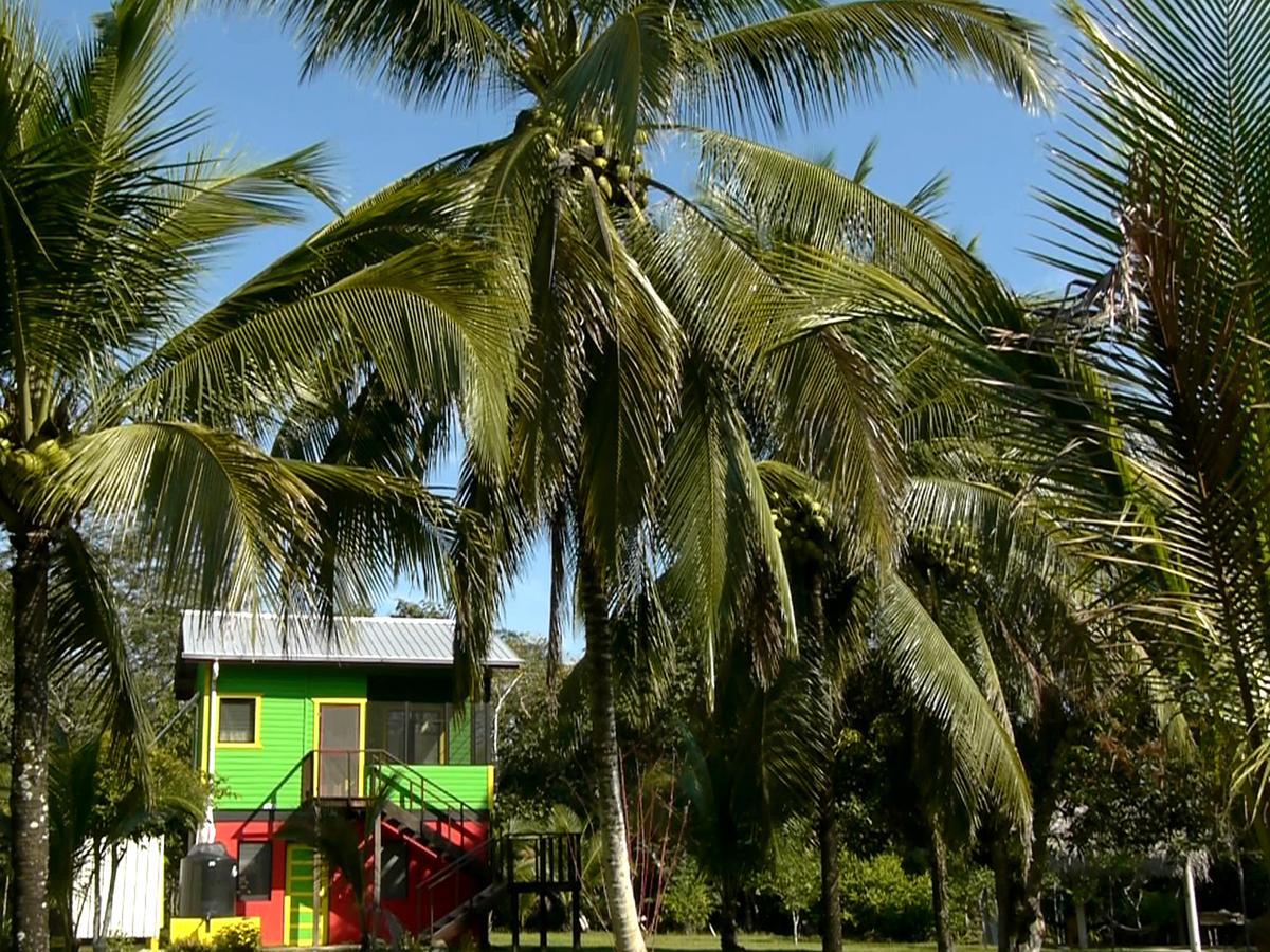 Lower Dover Jungle Lodge & Maya Ruins Unitedville Exterior photo